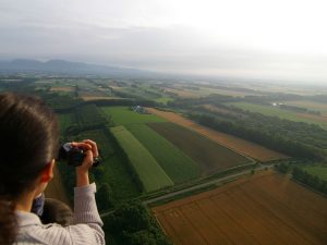 パッチワークの十勝平野